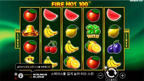 크리스마스 빅 배스 보난자